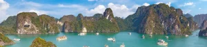 SIM Việt Nam