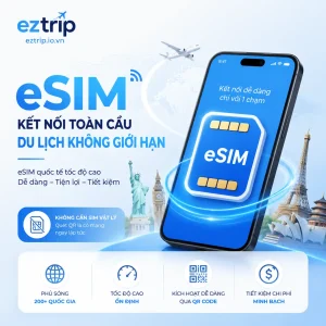 eSim